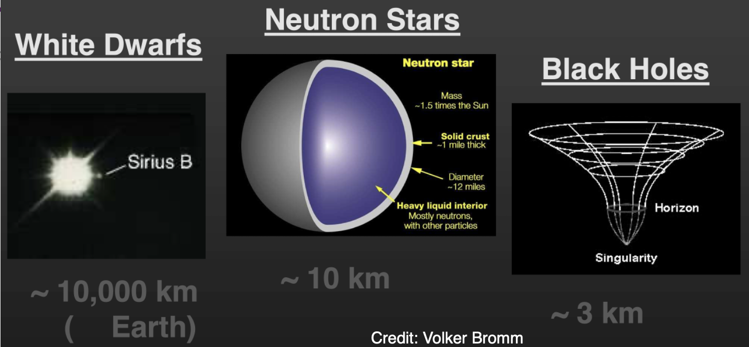 Comparison of white dwarfs, neutron stars, and black holes